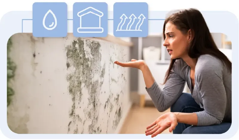 Humedad por capilaridad en pared de Logroño